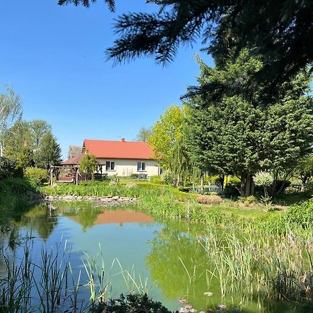Agroturystyka Smulsko Przykona Extérieur photo