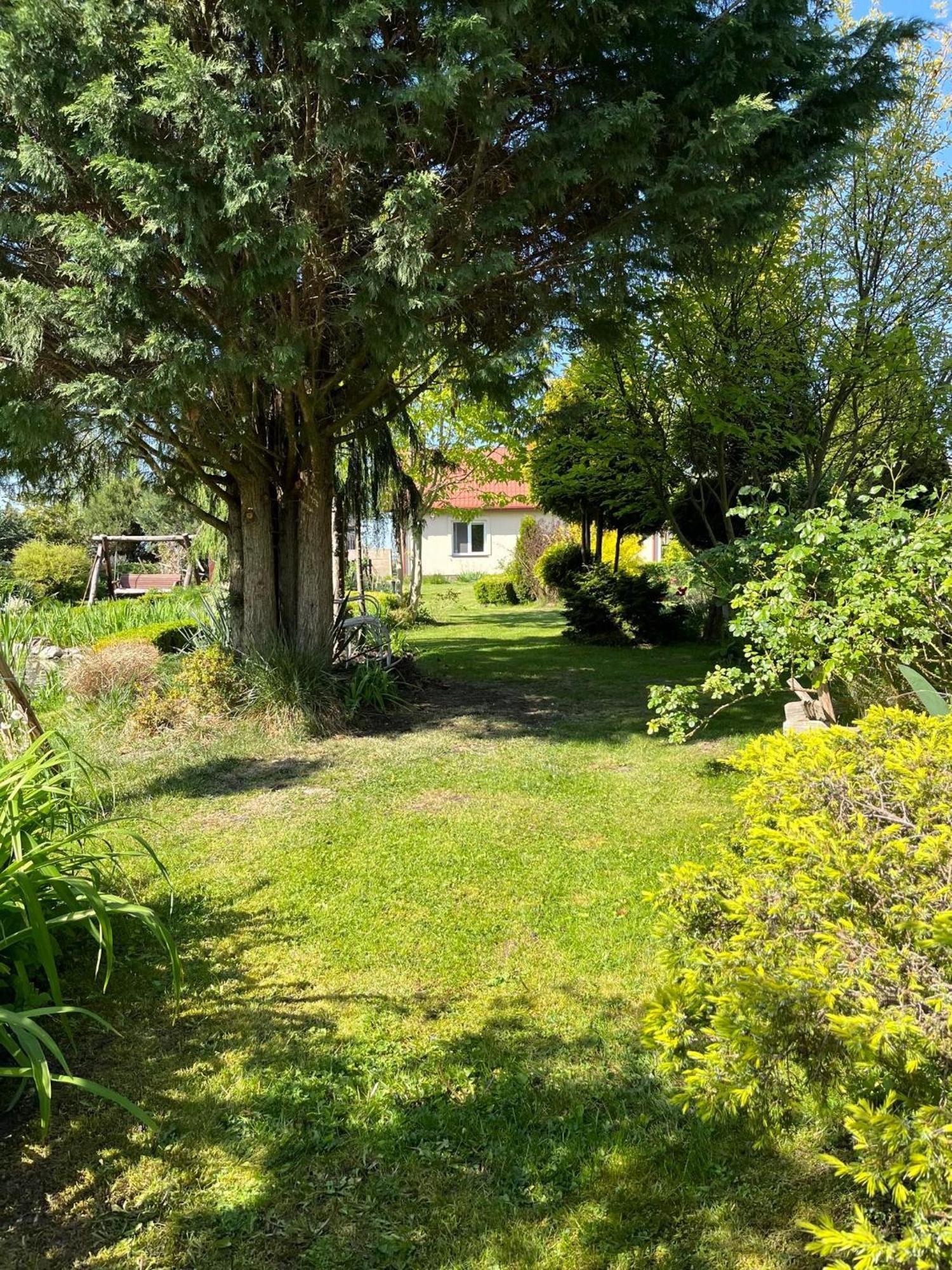 Agroturystyka Smulsko Przykona Extérieur photo